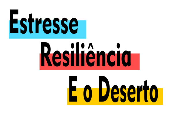 Estresse e Resiliência, as 2 chaves que te tiram do Deserto